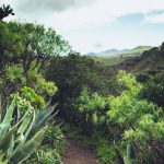 Planen Sie jetzt Ihre Natur- und Kulturausflüge auf Gran Canaria