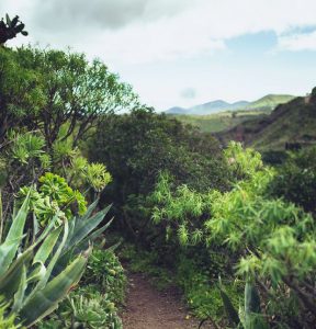 Gran Canaria